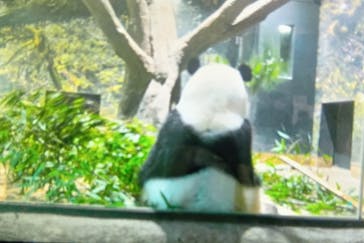 恩賜上野動物園に投稿された画像（2026/1/16）
