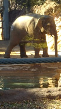 恩賜上野動物園に投稿された画像（2026/1/16）