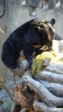 恩賜上野動物園に投稿された画像（2026/1/16）