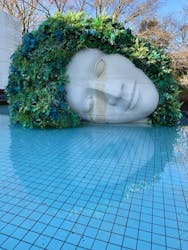 彫刻の森美術館に投稿された画像（2026/1/16）