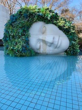 彫刻の森美術館に投稿された画像（2026/1/16）