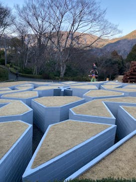 彫刻の森美術館に投稿された画像（2026/1/16）