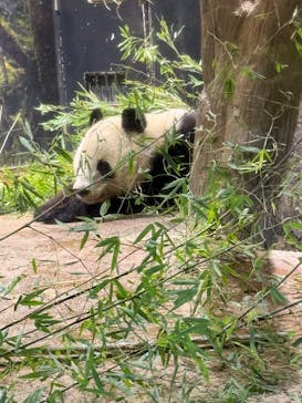 恩賜上野動物園に投稿された画像（2026/1/16）