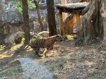 恩賜上野動物園に投稿された画像（2026/1/16）