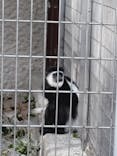 恩賜上野動物園に投稿された画像（2026/1/16）