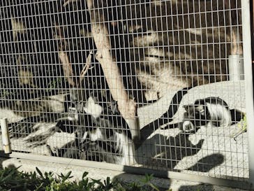 恩賜上野動物園に投稿された画像（2026/1/16）