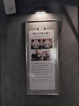 恩賜上野動物園に投稿された画像（2026/1/16）