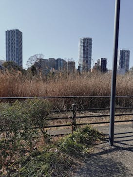 恩賜上野動物園に投稿された画像（2026/1/16）