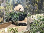 恩賜上野動物園に投稿された画像（2026/1/16）