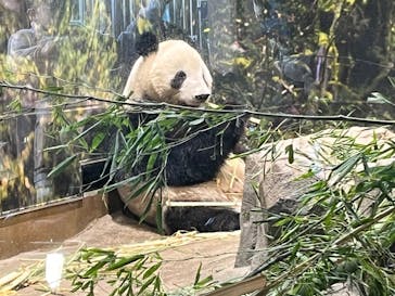 恩賜上野動物園に投稿された画像（2026/1/16）