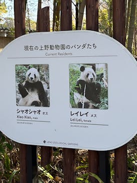 恩賜上野動物園に投稿された画像（2026/1/16）
