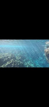 青の洞窟専門店　沖縄ダイビングショップ和に投稿された画像（2026/1/16）