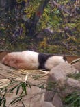 恩賜上野動物園に投稿された画像（2026/1/16）