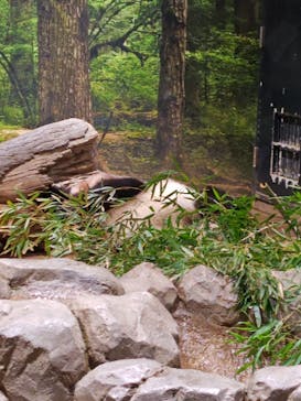 恩賜上野動物園に投稿された画像（2026/1/16）