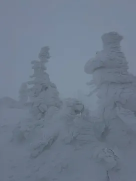 蔵王ロープウェイに投稿された画像（2026/1/16）