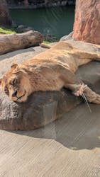 天王寺動物園に投稿された画像（2026/1/16）