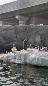 天王寺動物園に投稿された画像（2026/1/16）