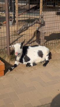天王寺動物園に投稿された画像（2026/1/16）
