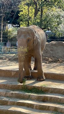 恩賜上野動物園に投稿された画像（2026/1/16）