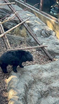 恩賜上野動物園に投稿された画像（2026/1/16）