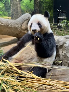 恩賜上野動物園に投稿された画像（2026/1/16）