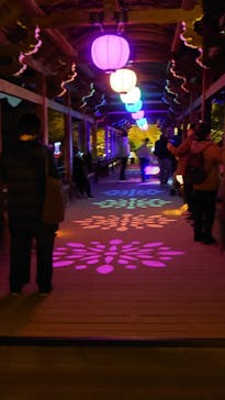 NAKEDヨルマイリ 2025-26 平安神宮に投稿された画像（2026/1/16）