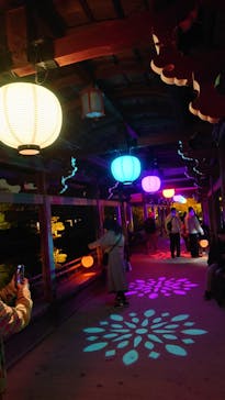 NAKEDヨルマイリ 2025-26 平安神宮に投稿された画像（2026/1/16）