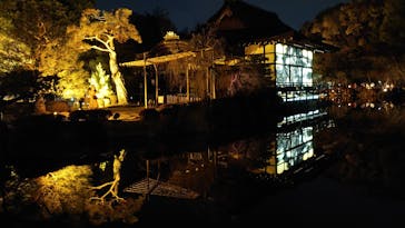 NAKEDヨルマイリ 2025-26 平安神宮に投稿された画像（2026/1/16）