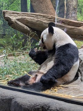恩賜上野動物園に投稿された画像（2026/1/16）