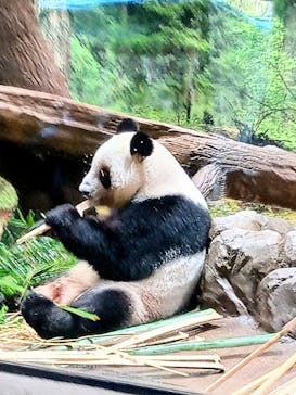 恩賜上野動物園に投稿された画像（2026/1/16）