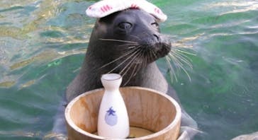 箱根園水族館に投稿された画像（2026/1/16）