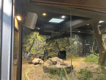 恩賜上野動物園に投稿された画像（2026/1/16）