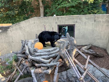 恩賜上野動物園に投稿された画像（2026/1/16）