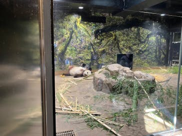 恩賜上野動物園に投稿された画像（2026/1/16）