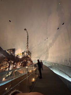 福井県立恐竜博物館に投稿された画像（2026/1/16）