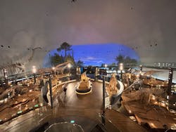 福井県立恐竜博物館に投稿された画像（2026/1/16）