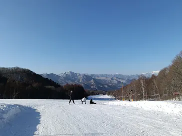 会津高原たかつえスキー場に投稿された画像（2026/1/17）