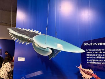特別展「大絶滅展―生命史のビッグファイブ」に投稿された画像（2026/1/17）