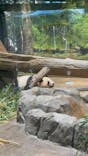 恩賜上野動物園に投稿された画像（2026/1/17）