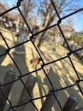 名古屋市東山動植物園に投稿された画像（2026/1/17）