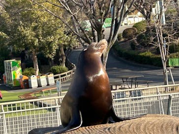 名古屋市東山動植物園に投稿された画像（2026/1/17）