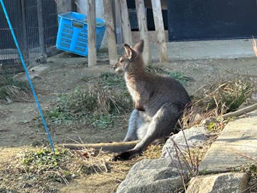 名古屋市東山動植物園に投稿された画像（2026/1/17）