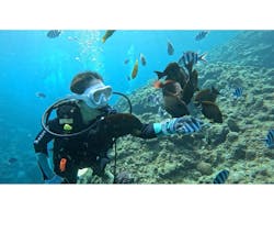 武藤潜水に投稿された画像（2026/1/17）