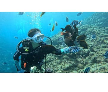 武藤潜水に投稿された画像（2026/1/17）