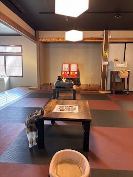 おさるランド＆アニタウン　日光さる軍団劇場に投稿された画像（2026/1/17）