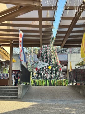 ひらかたパークに投稿された画像（2026/1/17）