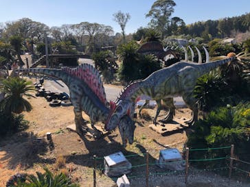 伊豆ぐらんぱる公園に投稿された画像（2026/1/17）