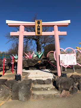伊豆ぐらんぱる公園に投稿された画像（2026/1/17）