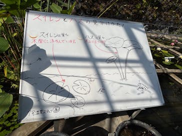 熱川バナナワニ園に投稿された画像（2026/1/17）