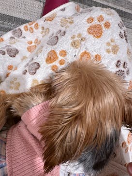 いぬカフェRio 池袋店に投稿された画像（2026/1/17）